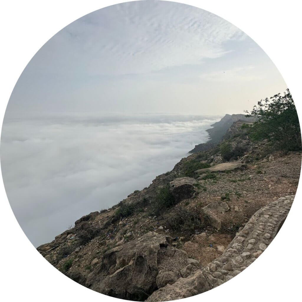 صورة واتساب بتاريخ 2025 10 03 في 01.00.52 3d3dce99