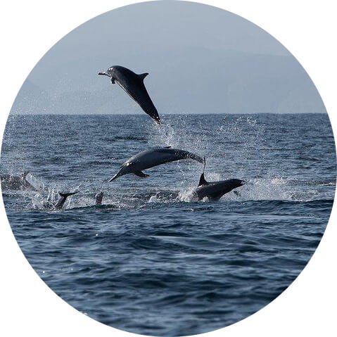 صورة واتساب بتاريخ 2025 10 03 في 02.27.33 397285f2